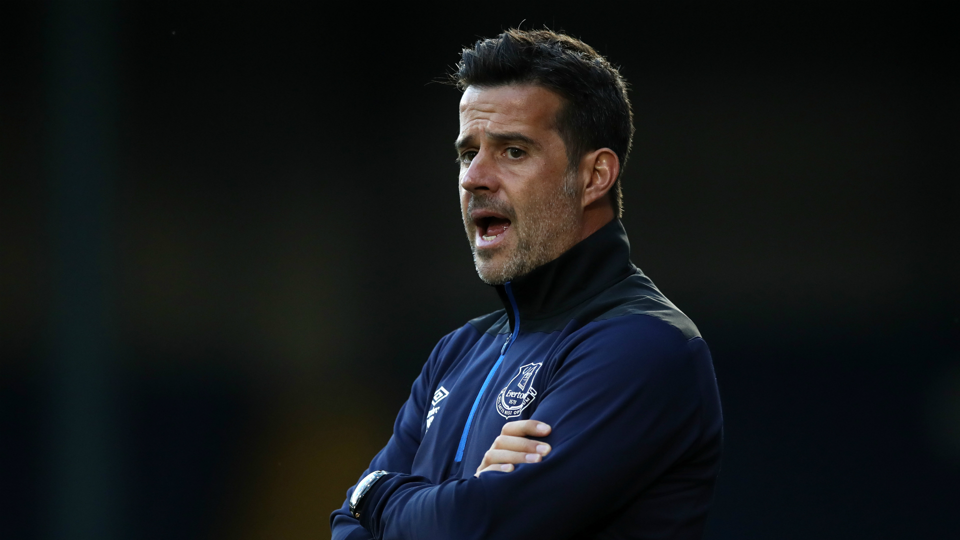 他们在试图 他们在试图